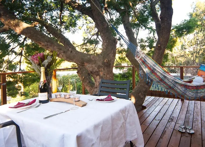 Treetop Apartment Cape Town