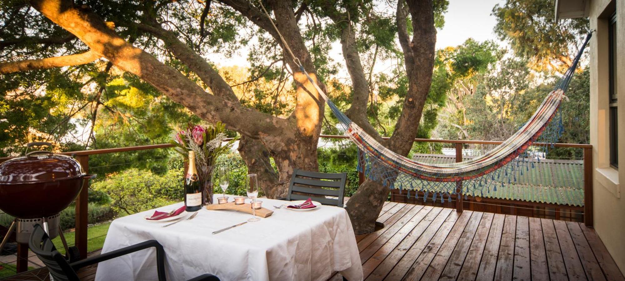 Treetop * Cape Town