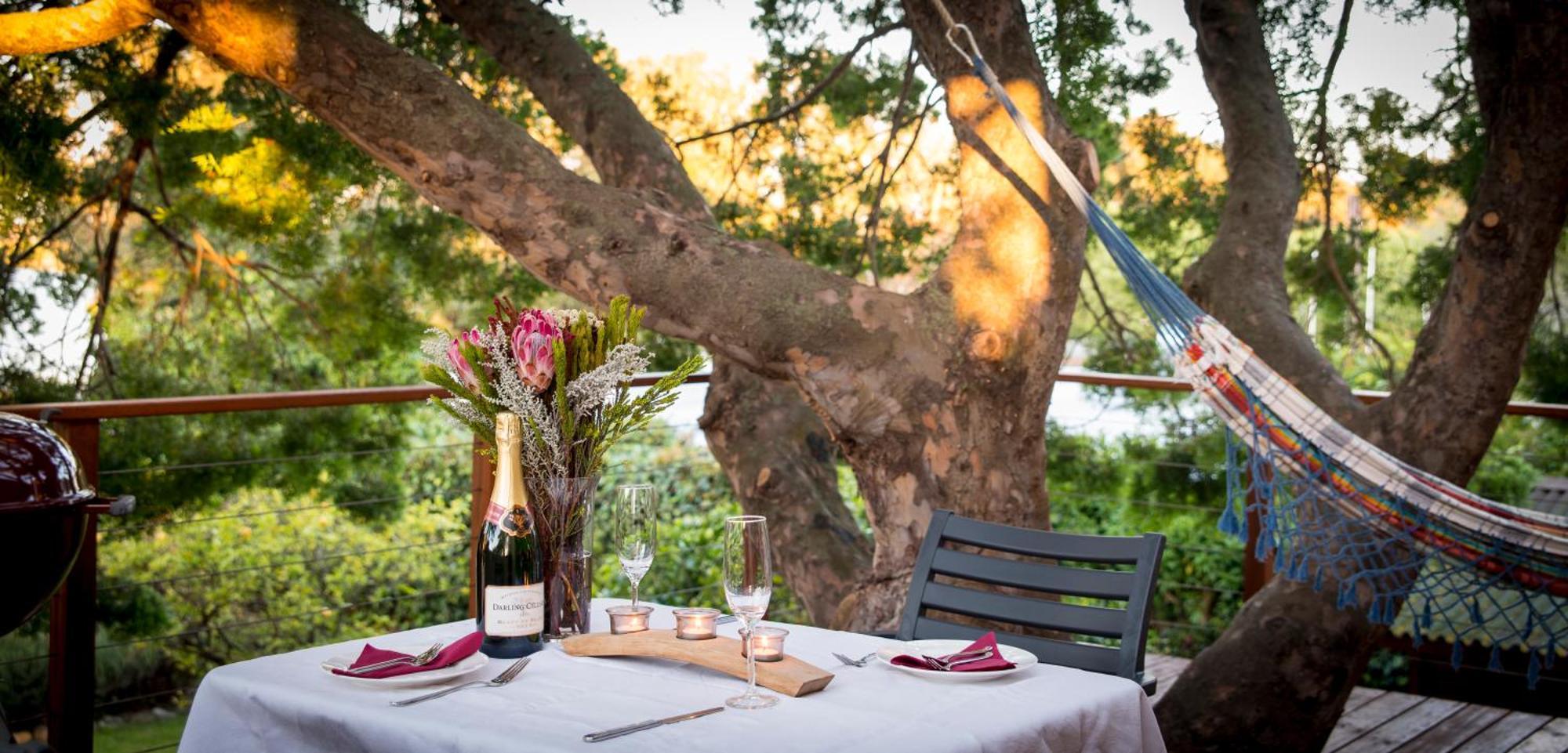 Treetop Cape Town